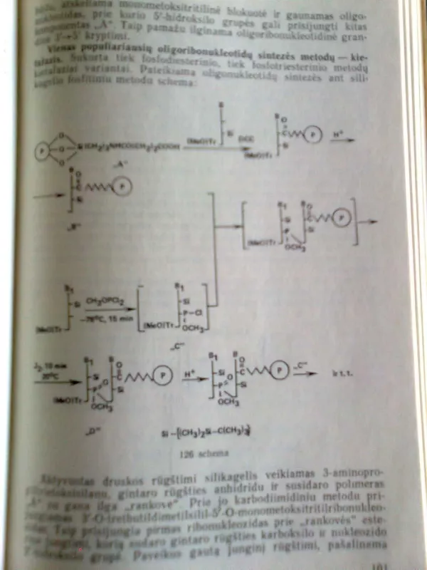 Nukleino rūgščių, chemijos ir biochemijos pagrindai - Benediktas Juodka, knyga 4