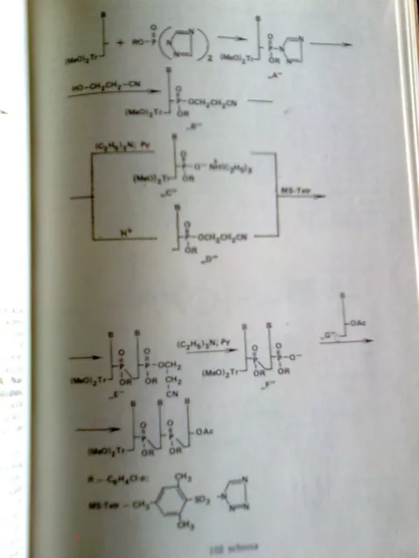 Nukleino rūgščių, chemijos ir biochemijos pagrindai - Benediktas Juodka, knyga 3