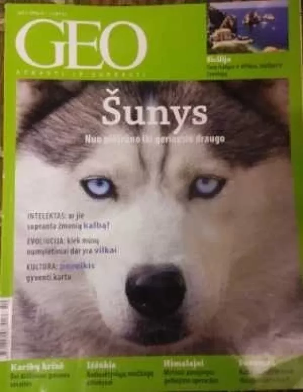 GEO Šunys 2012/10 - Autorių Kolektyvas, knyga