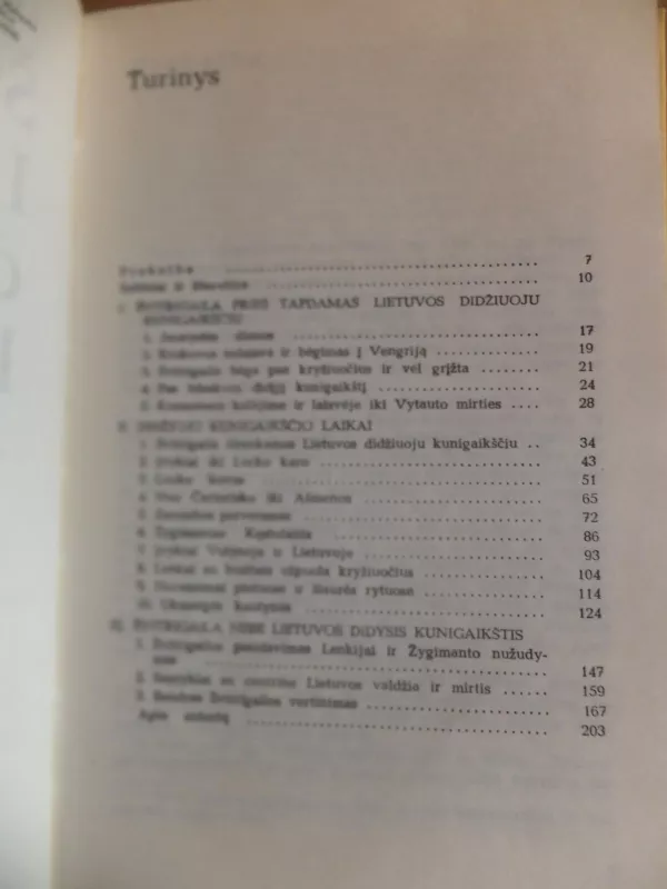 Švitrigaila Lietuvos didysis kunigaikštis - Jonas Matusas, knyga 6