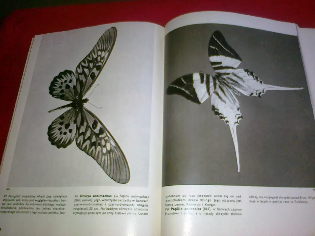 Wielki atlas owadow - V. J. Stanek, knyga