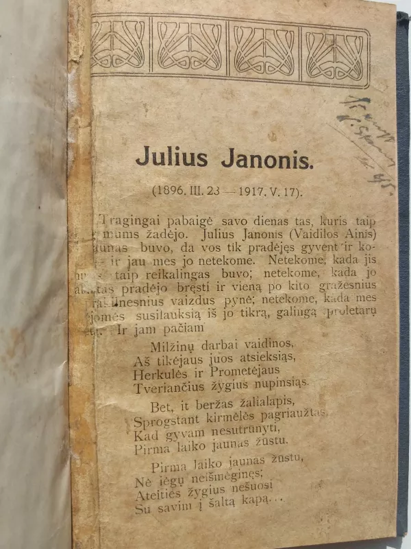 Vaidilos Ainio (Juliaus Janonio) eilės - Julius Janonis, knyga