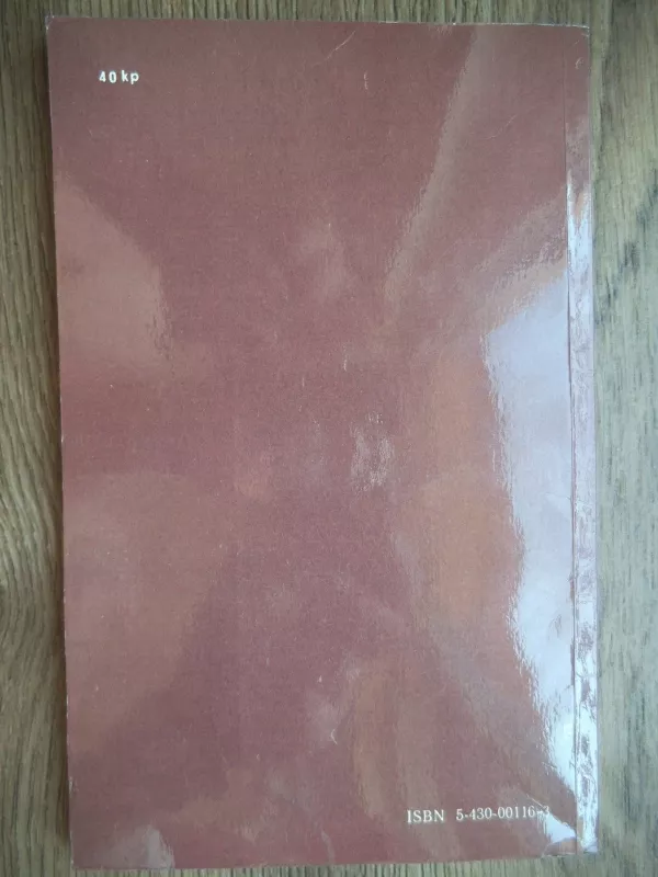 Pokalbiai apie gaisrus - VITAS RIMKUS, knyga 2