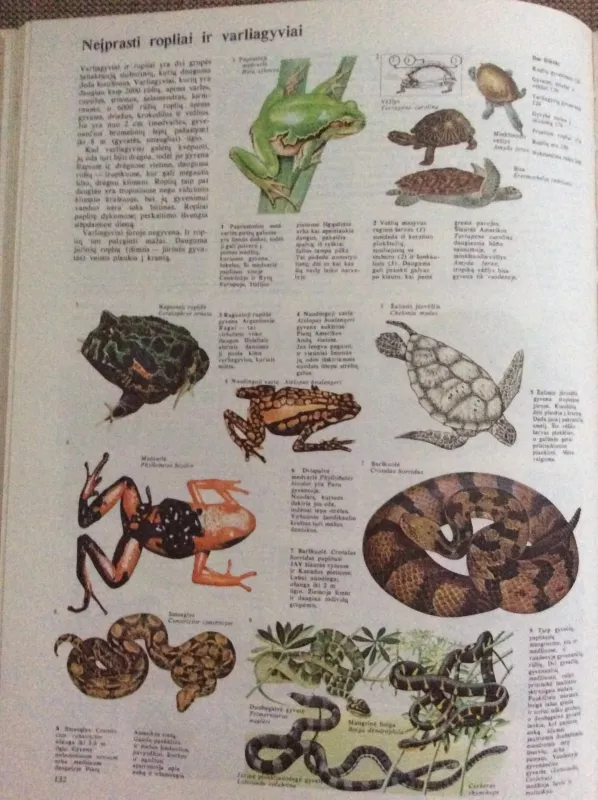 Gyvoji gamta - J. Mitchell, knyga 2