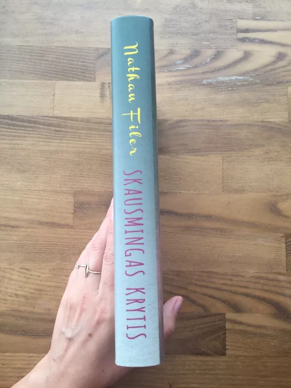 Skausmingas krytis - Nathan Filer, knyga 2