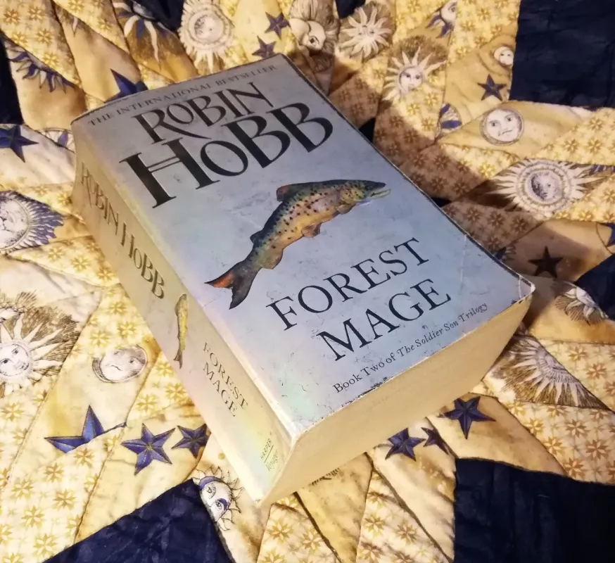 Forest Mage - Robin Hobb, knyga