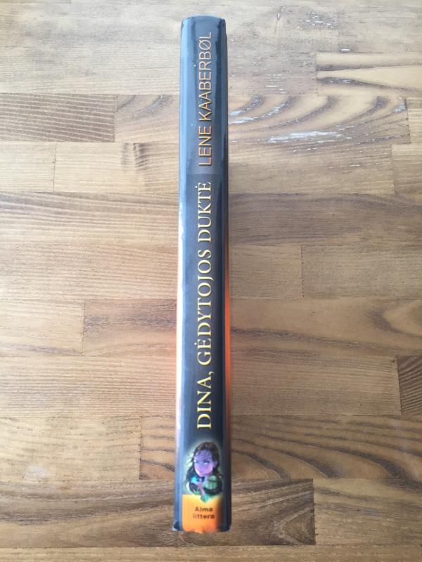 Dina, Gėdytojos duktė - Lene Kaaberbol, knyga 2
