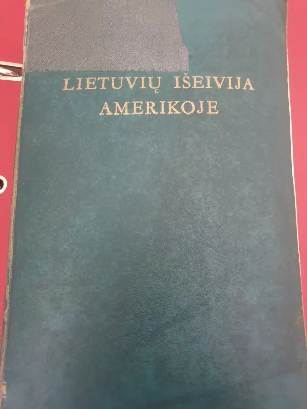 Lietuvių išeivija Amerikoje - S. Michelsonas, knyga