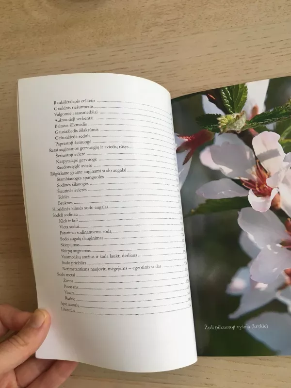 Sodelį sodinau - Sigutis Obelevičius, knyga 3