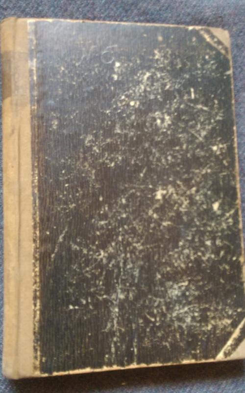 Lietuvių literatūra V dalis - Zigmantas Kuzmickis, knyga 2