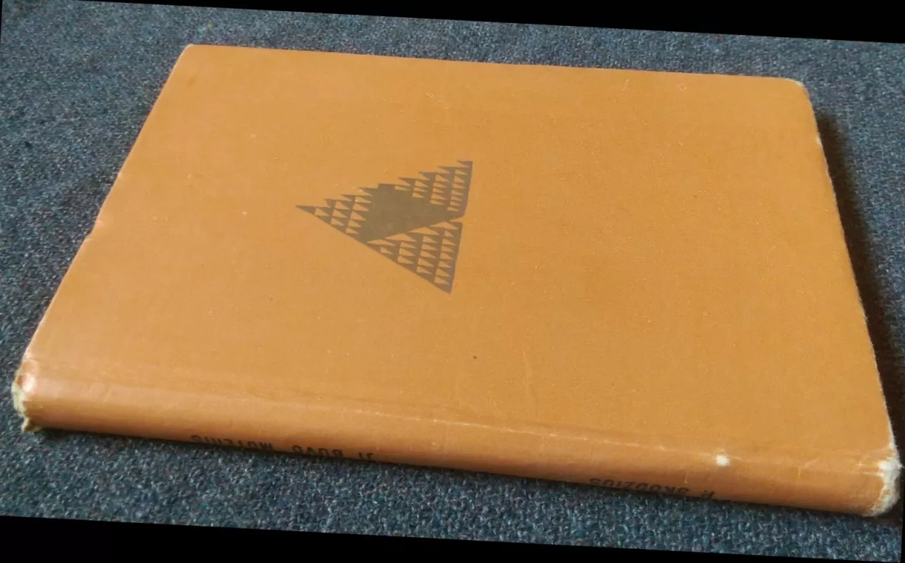 Ji buvo moteris - Petras Skodžius, knyga 3