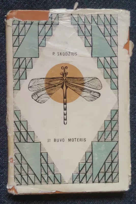 Ji buvo moteris - Petras Skodžius, knyga 2