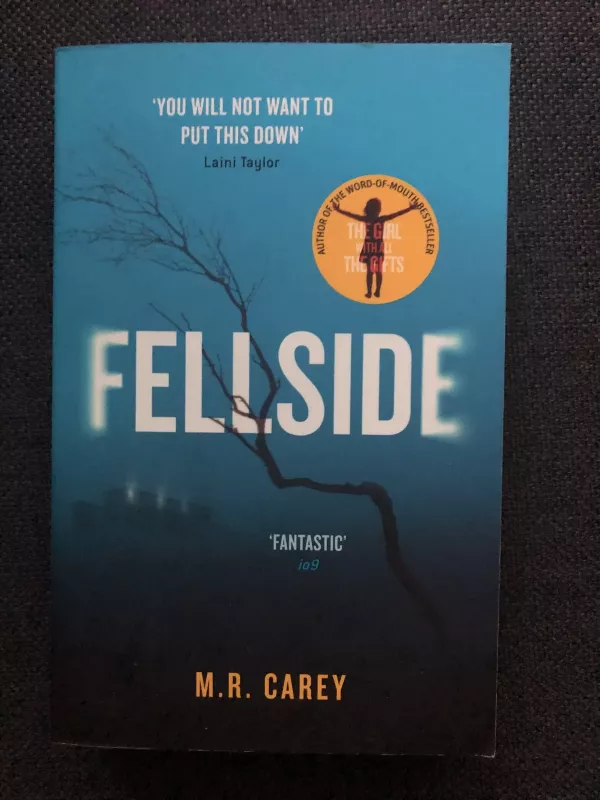Fellside - M. R. Carey, knyga