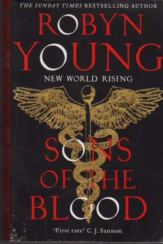 Sons of the Blood - Robyn Young, knyga