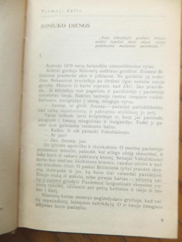 Į aukštą kalną - ir kt. Telksnytė M., knyga 6