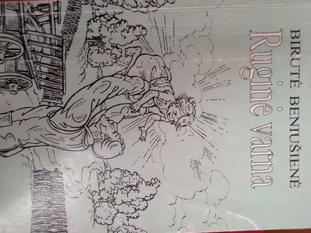 Ruginė varna - Birutė Beniušienė, knyga 3