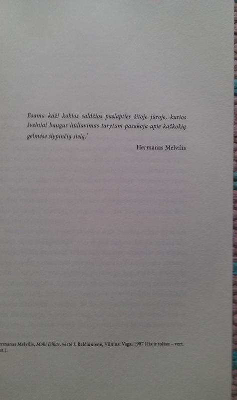 MŪZŲ VIEŠBUTIS - Ann Kidd Taylor, knyga 3