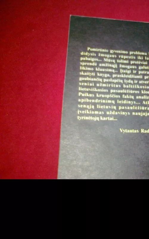 Dausos. Pomirtinio gyvenimo samprata senojoje lietuvių pasaulėžiūroje - Gintaras Beresnevičius, knyga