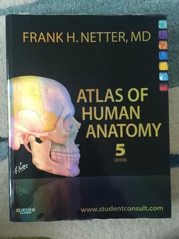 Atlas of Human Anatomy Netter 2011 - Frank H. Netter, knyga