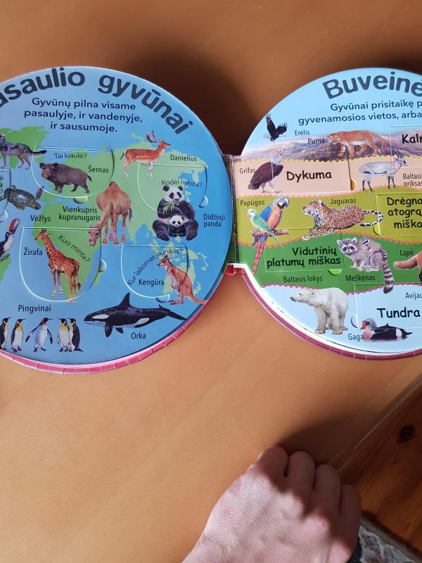 Atverk Langelius: Laukiniai Žvėrys. Klausimai ir Atsakymai - Marcela Grez, knyga 2