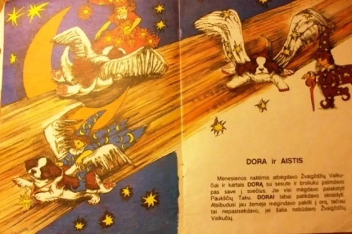 Sembernarės Doros pasakos - Toleina Auma, knyga 2