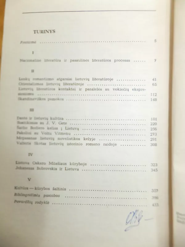 Lietuvių literatūra ir pasaulinės literatūros procesas - Vytautas Kubilius, knyga 5