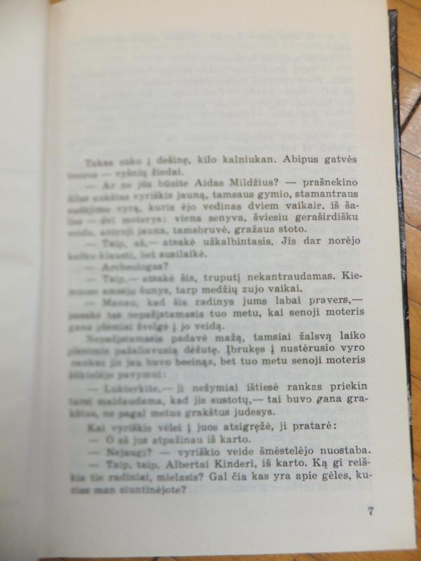 Žolė po šerkšnu - Bronius Radzevičius, knyga 4