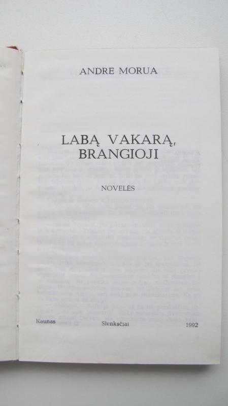 Labą vakarą, brangioji - Andre Morua, knyga 3