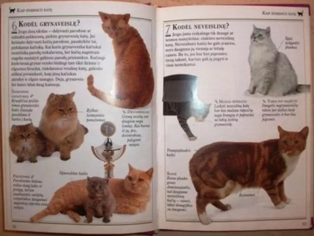 101 naudingi patarimai. Kaip prižiūrėti katę - A. Edney, D.  Taylor, knyga 2