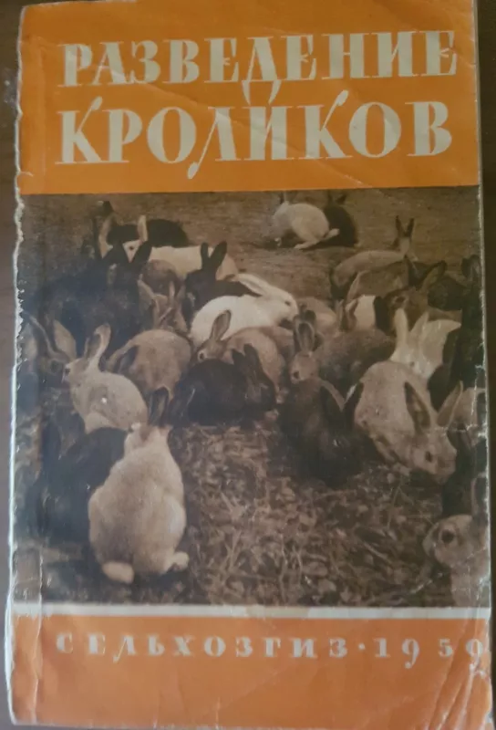 Разведение кроликов - Autorių Kolektyvas, knyga