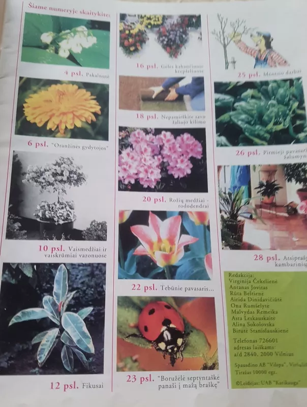 Sodo spalvos 1997  Nr. 5 - Autorių Kolektyvas, knyga 3