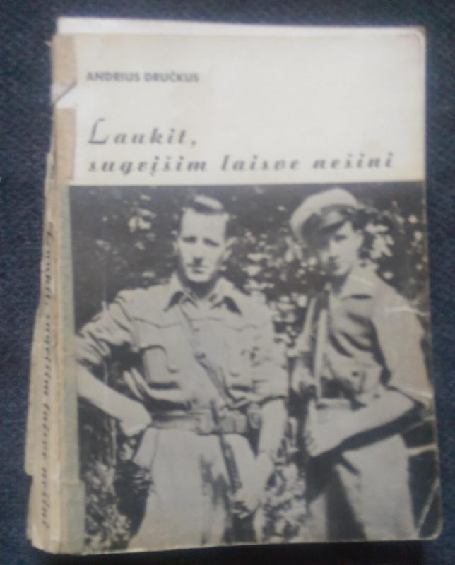 Laukit, sugrįšim laisve nešini - Andrius Dručkus, knyga 3