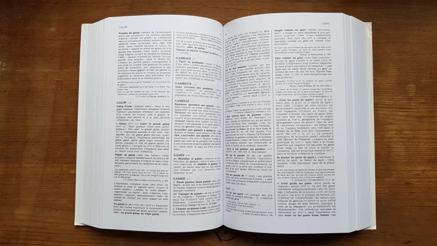 Dictionnaire des expressions et locutions - Alain Rey, knyga
