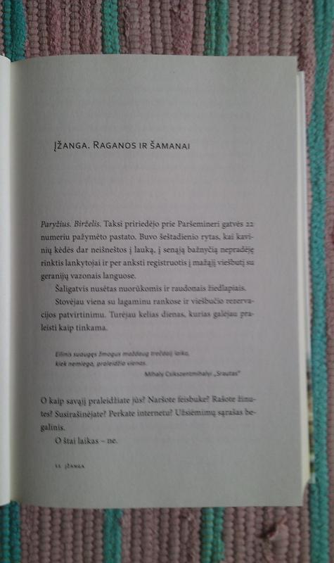 Vienumos metas: keturi metų laikai, keturi miestai ir vienumos džiaugsmai - Stephanie Rosenbloom, knyga 4