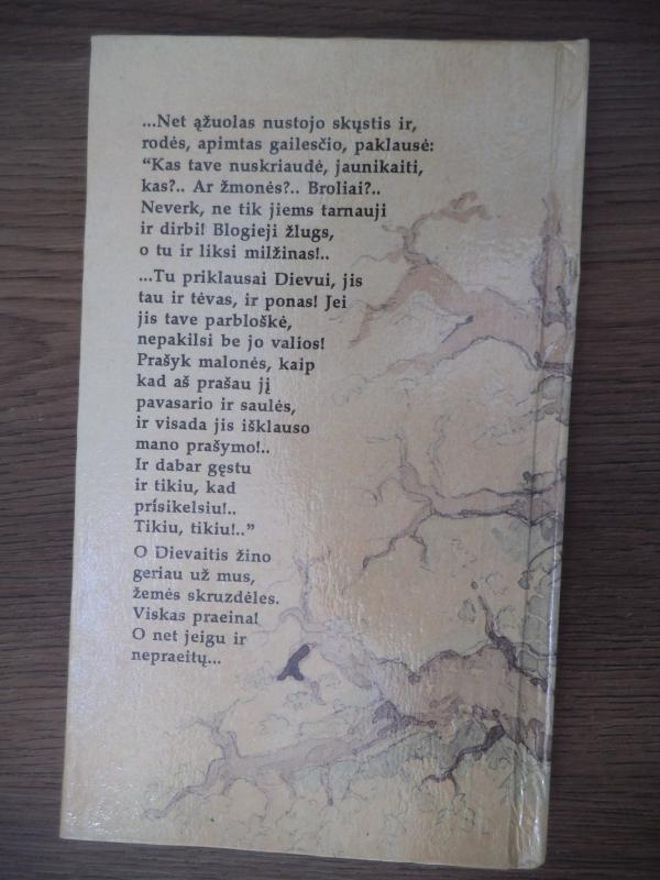 Dievaitis - Marija Rodzevičuvna, knyga 2