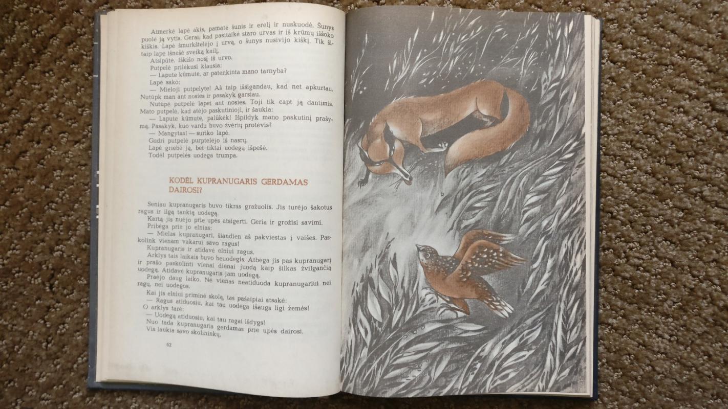 Gražuolė Miržana - Autorių Kolektyvas, knyga 2