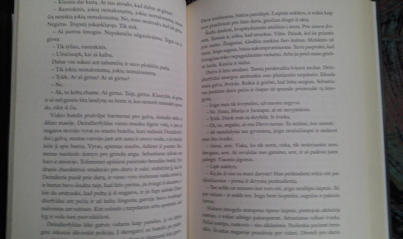 Patrakėlis - James Patrick Donleavy, knyga 4