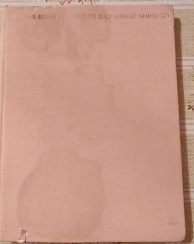 Pasaulis kaip didelė simfonija - Markas Etkindas, knyga 4