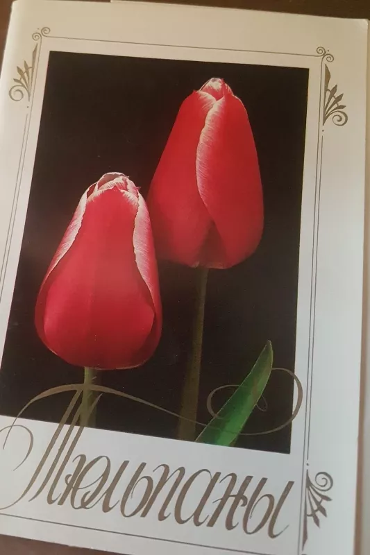 "Тюльпаны"  открытки - В. Хондырев, knyga