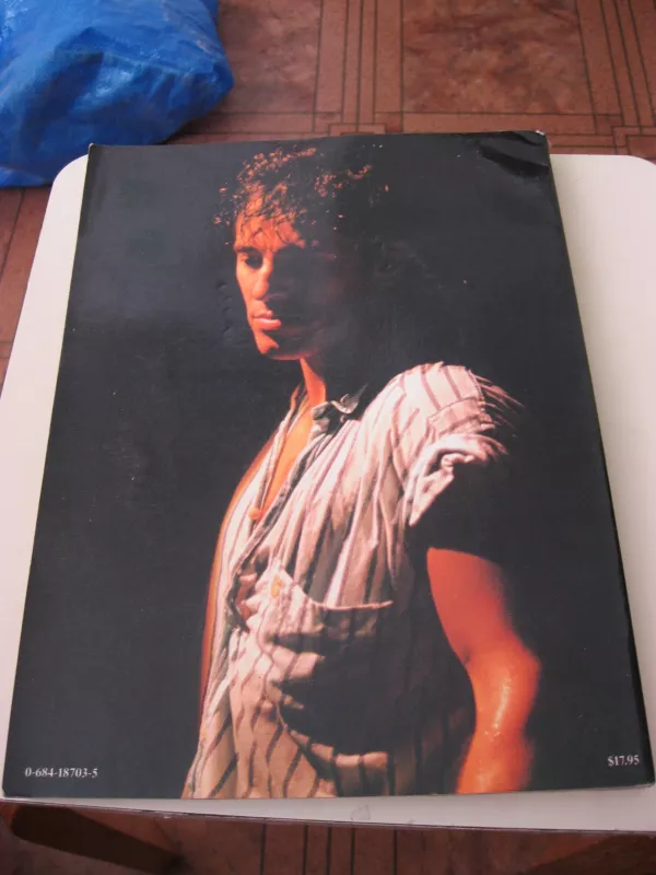 Springsteen - Autorių Kolektyvas, knyga