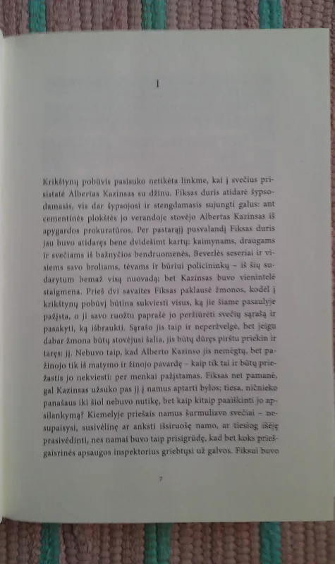 Vieningieji - Ann Patchett, knyga 3