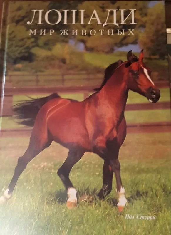 Лошади мир животных - Пол Стерри, knyga 5