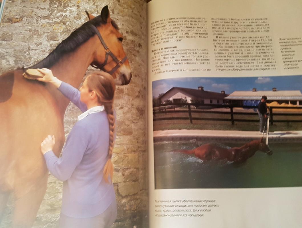 Лошади мир животных - Пол Стерри, knyga 5