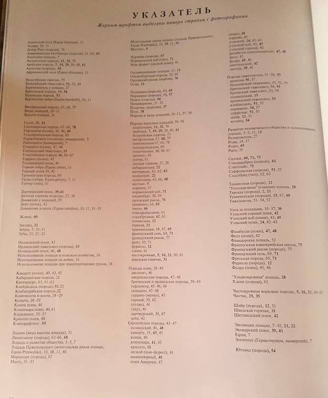 Лошади мир животных - Пол Стерри, knyga 3