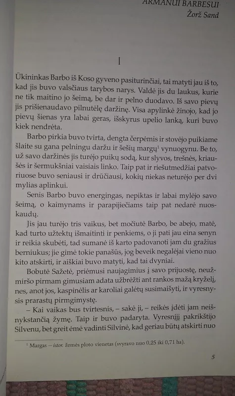 Mažoji Fadetė - George Sand, knyga 4