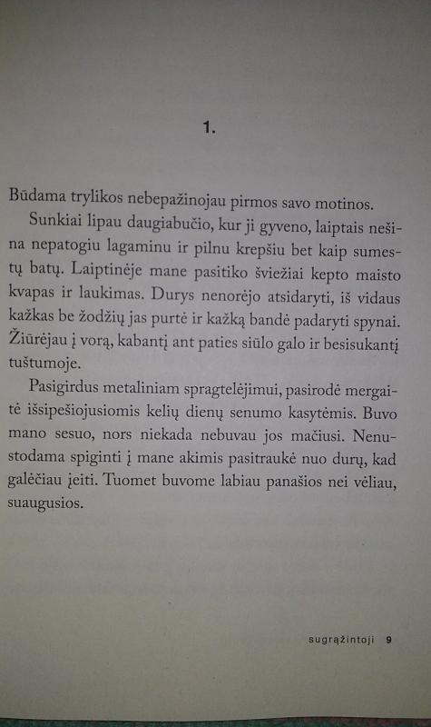 SUGRĄŽINTOJI: itin jautrus italų rašytojos romanas, užkliudantis giliausias žmogaus egzistencines stygas - Donatella Di Pietrantonio, knyga 3