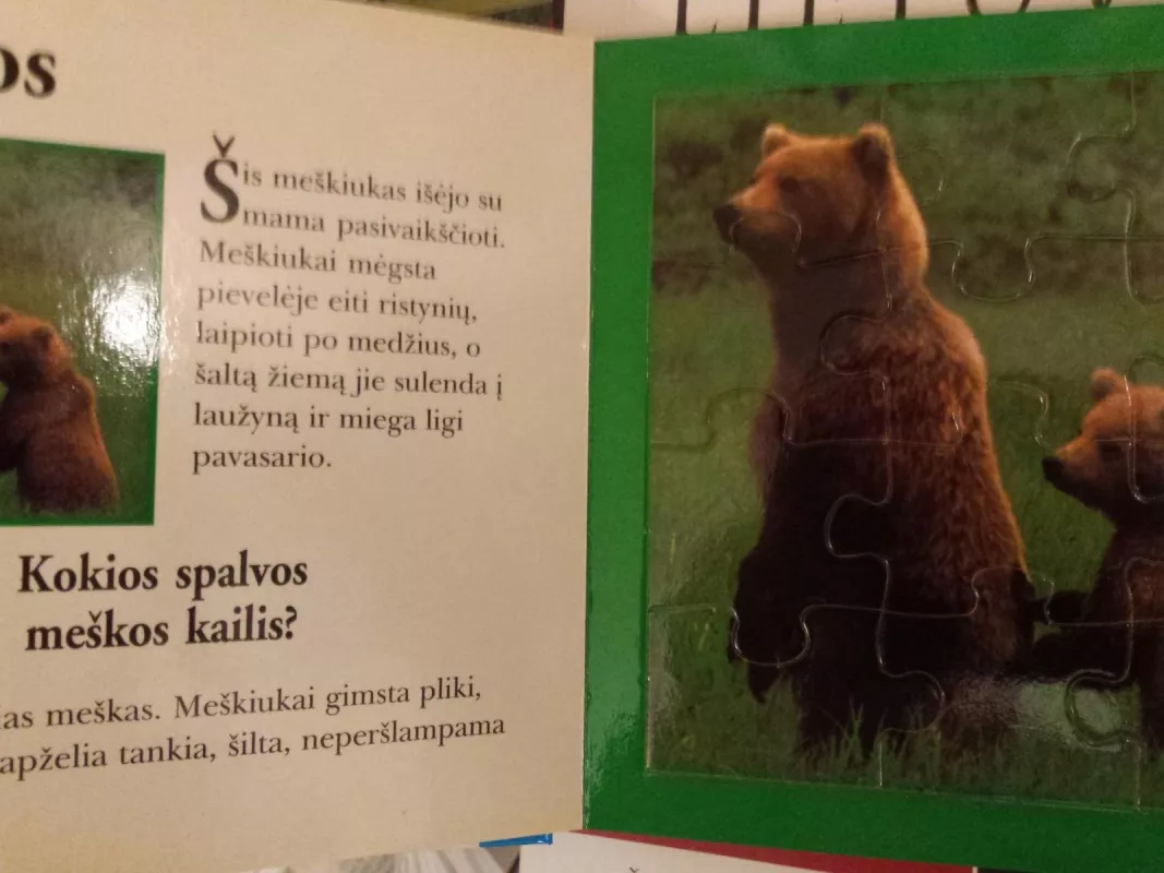 Gyvūnai ir jų mažyliai. Paskaityk ir sudėliok - Autorių Kolektyvas, knyga 5