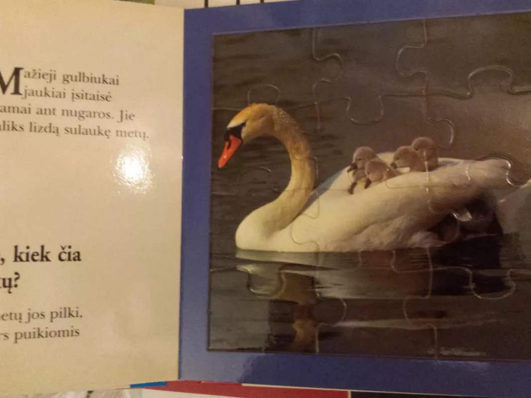 Gyvūnai ir jų mažyliai. Paskaityk ir sudėliok - Autorių Kolektyvas, knyga 4