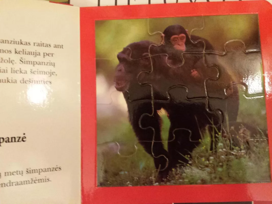 Gyvūnai ir jų mažyliai. Paskaityk ir sudėliok - Autorių Kolektyvas, knyga 3