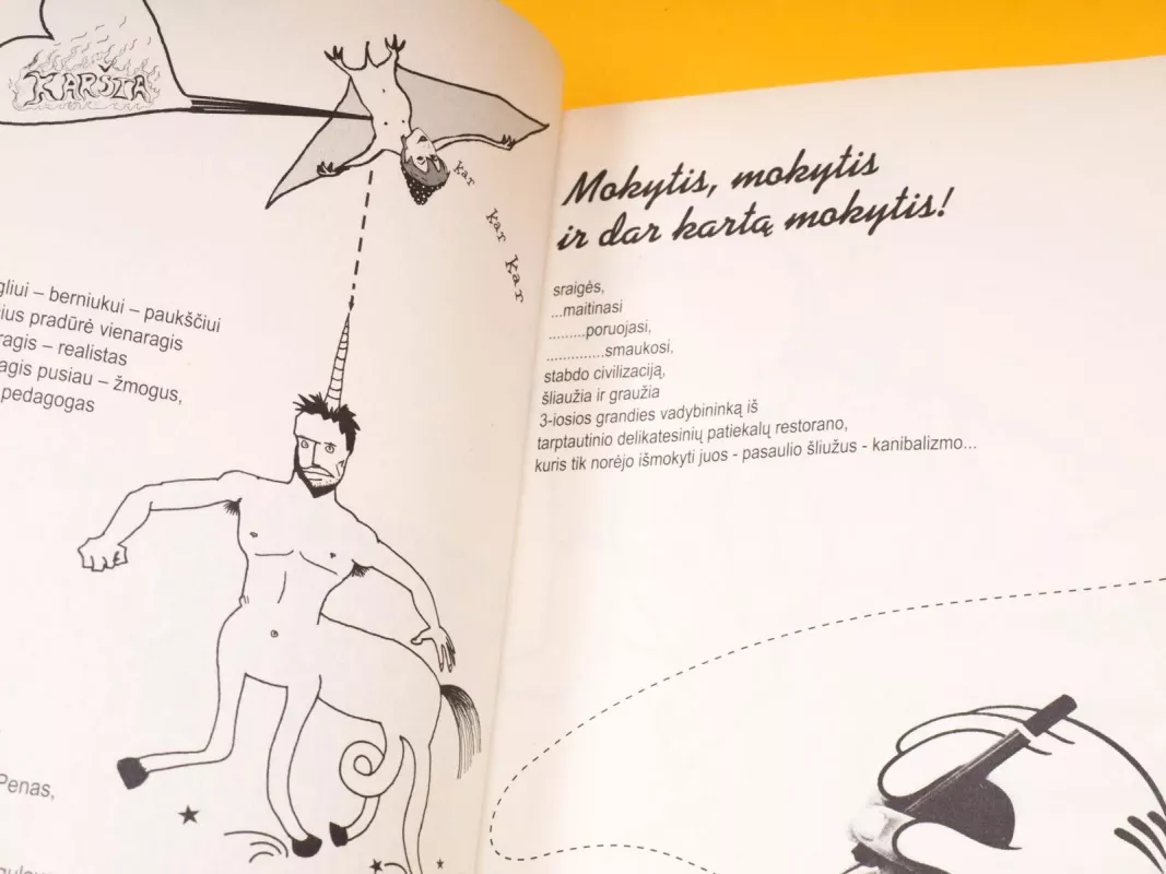 Superleninas ir amanitas Muscarias - Vilma Pajuodienė-Fiokla, knyga